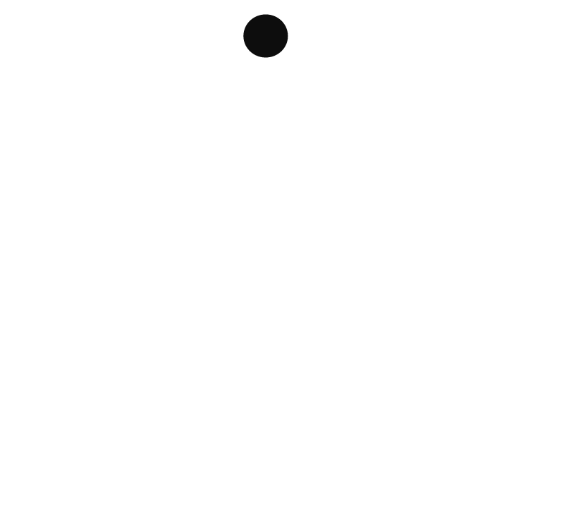 Logo Spirescu Andrei